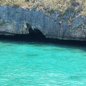 Meet your Posher, Gail